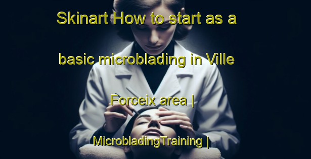 Skinart How to start as a basic microblading in Ville Forceix area | MicrobladingTraining | MicrobladingClasses | SkinartTraining-France